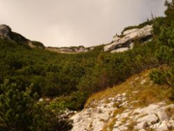 2013-10-08_Guffert (094).JPG